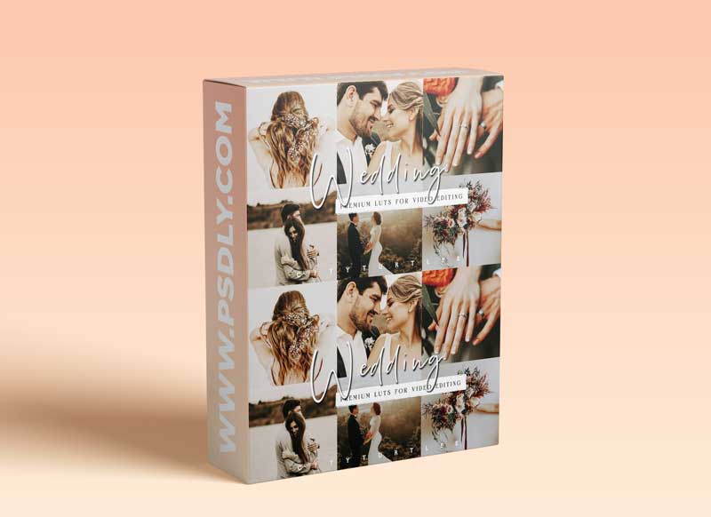 CreativeMarket - Moody Wedding LUTs for Video Editing 5954073
