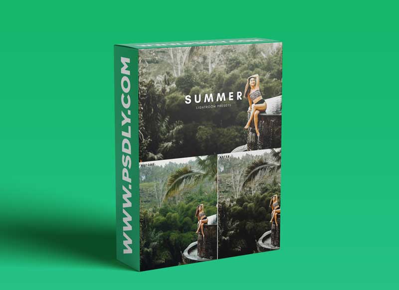 CreativeMarket - Summer Lightroom Presets XMP DNG 6025083