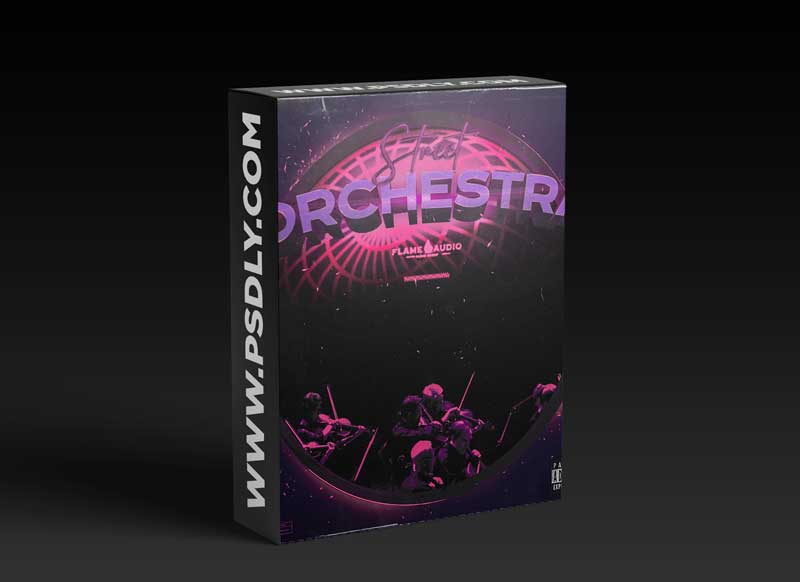 Flame Audio Street Orchestra