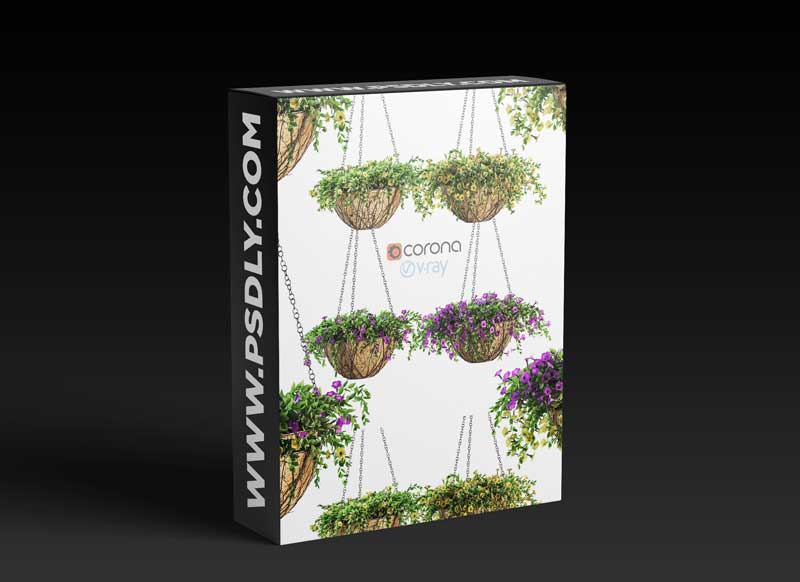 Flowers in a flower pot on a chain. Petunia. 4 models