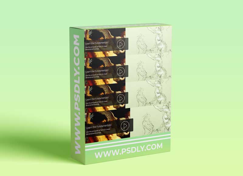 Form: Giving your Drawings Solidity with Sheldon Borenstein