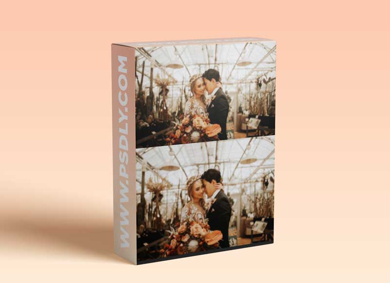 G-Presets Mood Enhancers