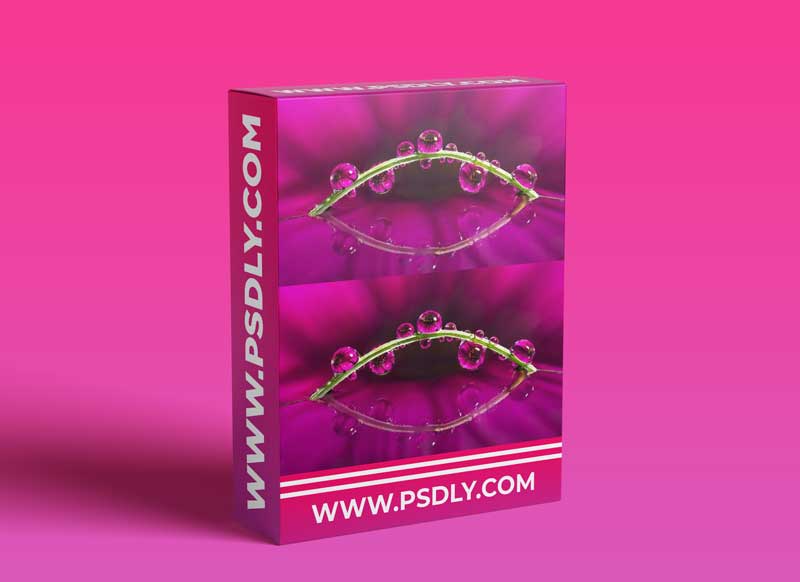 ON1 - Macro Photography Course