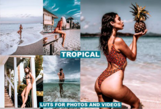 TROPICAL Film LUTS for Videos & Photos 4129311