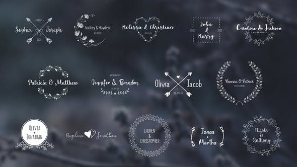Videohive Wedding Titles Pack 28418047