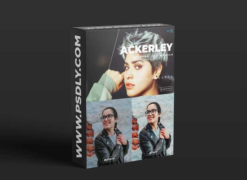 Ackerley Desktop and Mobile Lightroom Preset
