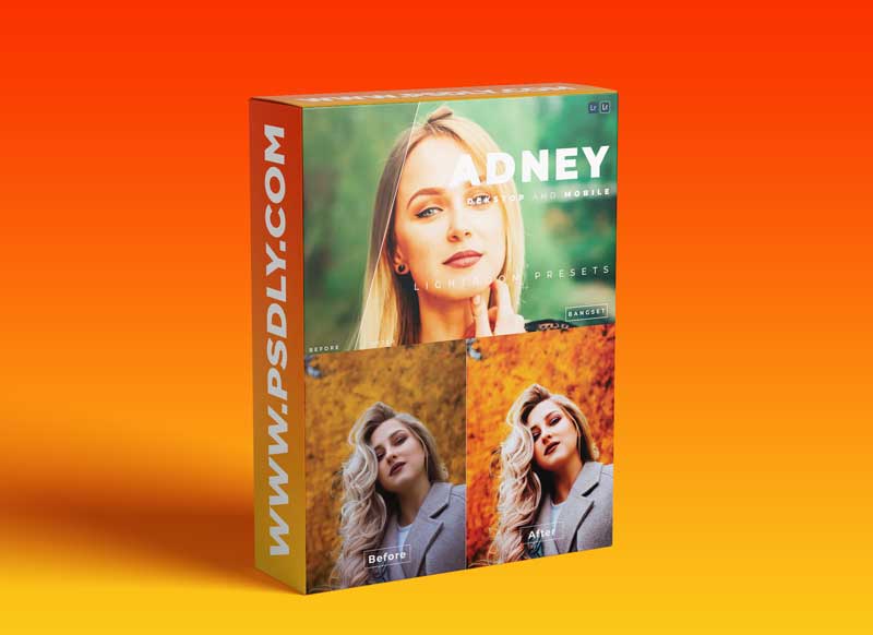Adney Desktop and Mobile Lightroom Preset