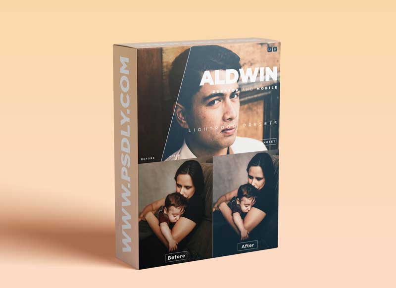 Aldwin Desktop and Mobile Lightroom Preset