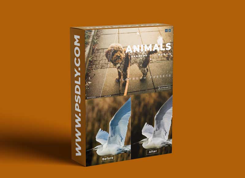 Animals Desktop and Mobile Lightroom Preset