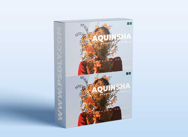 Aquinsha Desktop and Mobile Lightroom Preset