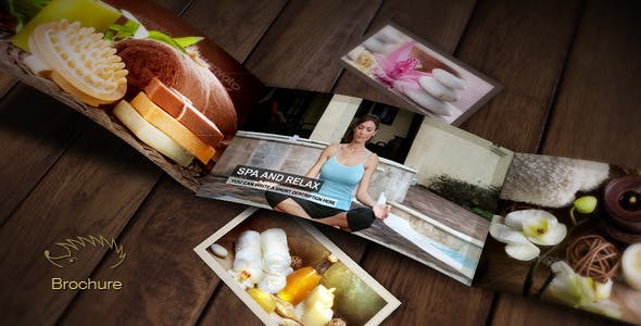Videohive Brochure 2680329