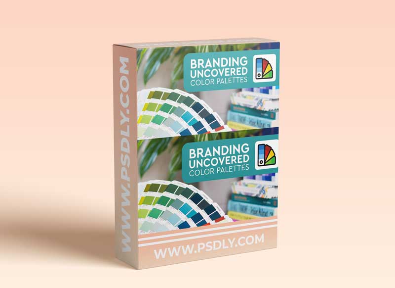 Branding Uncovered: Color Palettes - The Power of the Perfect Palette
