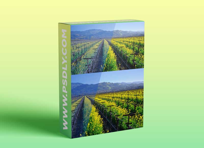 Capture One Pro 21 Essential Training