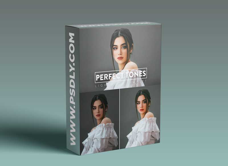 CreativeMarket - 10 Perfect Tones Lightroom Preset 6144967