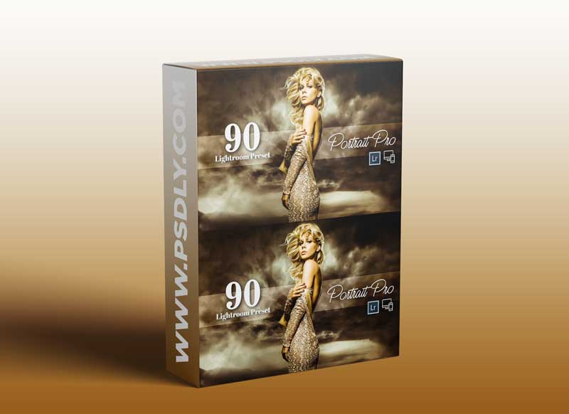 CreativeMarket - 90 Portrait Pro Lightroom Preset 6072982