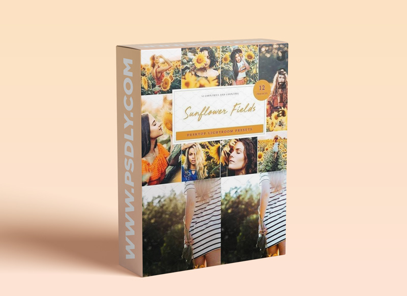 CreativeMarket - Sunflower Field Presets | Desktop 4792014