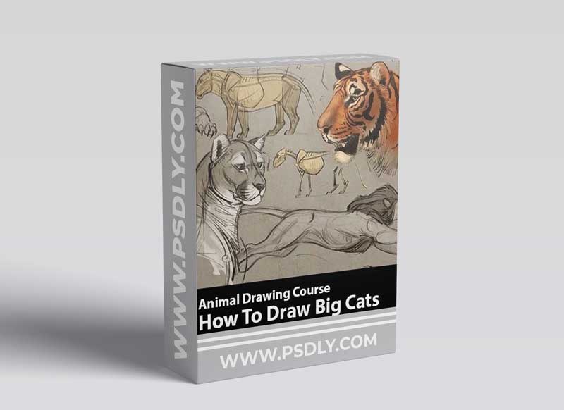 CreatureArtTeacher - Aaron Blaise - How to Draw Animals Course – Big Cats