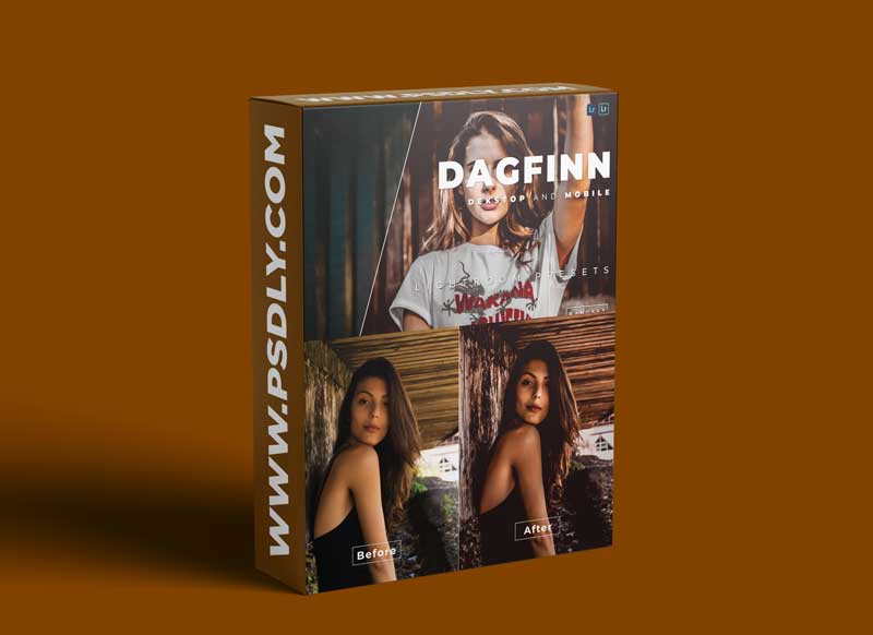 Dagfinn Desktop and Mobile Lightroom Preset