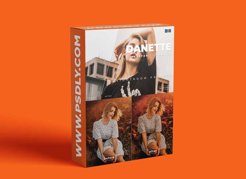Danette Desktop and Mobile Lightroom Preset