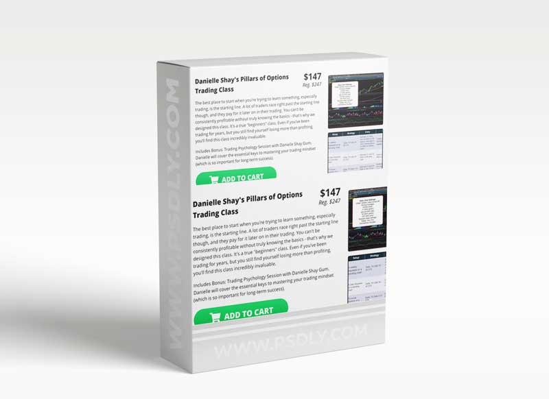 Danielle Shay's Pillars of Options Trading Class