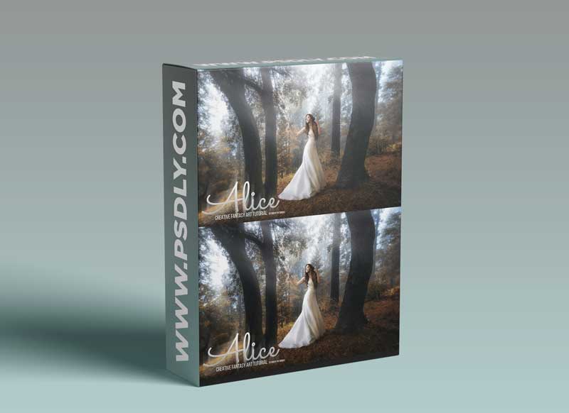 Dheny Patungka – Alice – Art Fantasy Tutorial