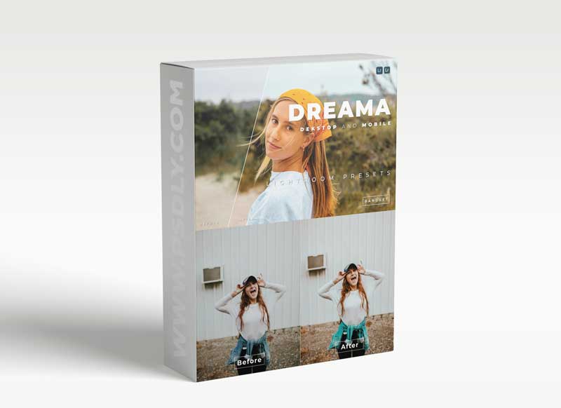 Dreama Desktop and Mobile Lightroom Preset