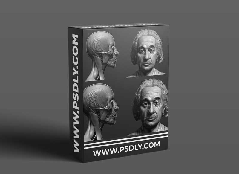 Facial Anatomy and Likeness Tutorial