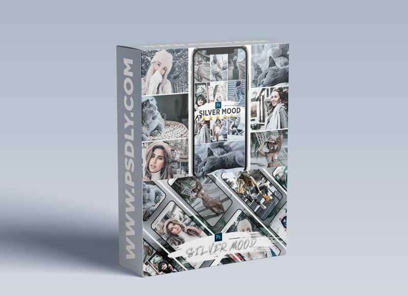 GraphicRiver - Silver Mood Lightroom Presets 25048351
