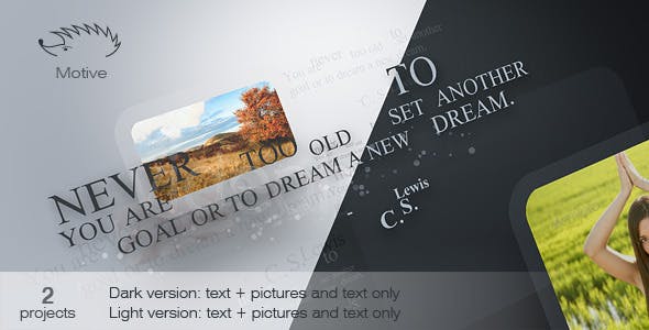 Videohive Motive 929106