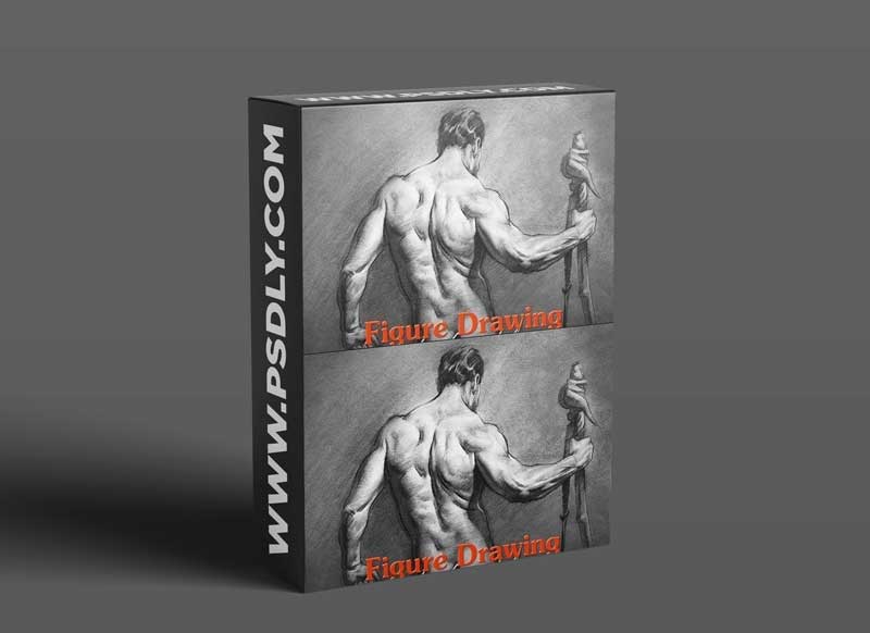 Proko - Figure Drawing Fundamentals