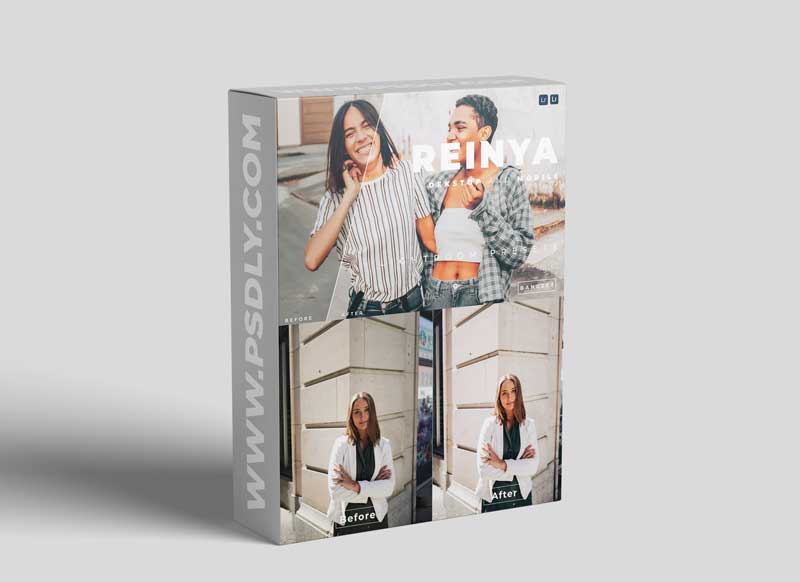 Reinya Desktop and Mobile Lightroom Preset