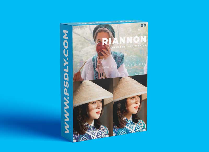 Riannon Desktop and Mobile Lightroom Preset