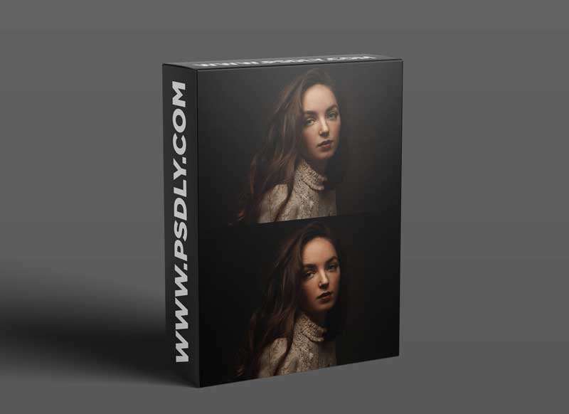 The Portrait Masters - Painterly Portraits: Design Elements