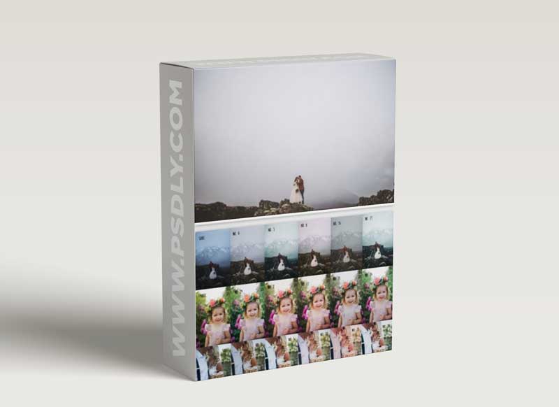 Twig & Olive Photography - LR Warm Film Presets