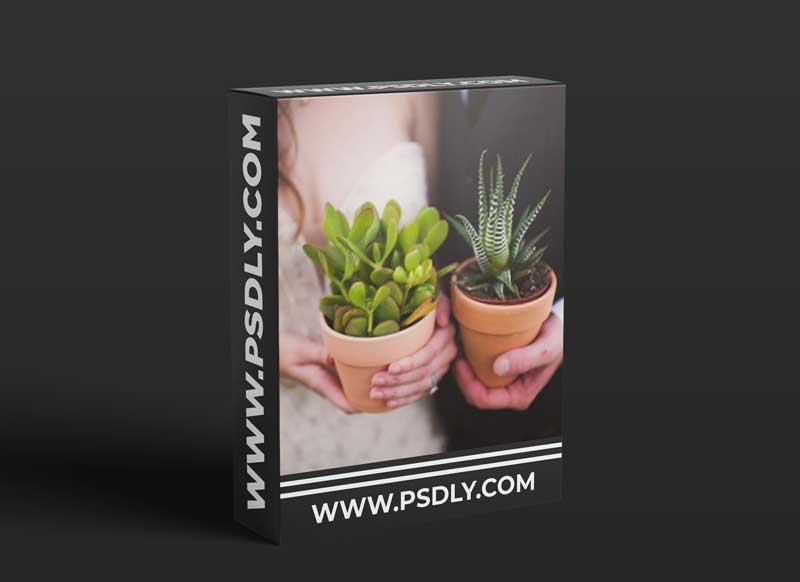 Twig & Olive Photography - Sweet Light Lightroom Presets