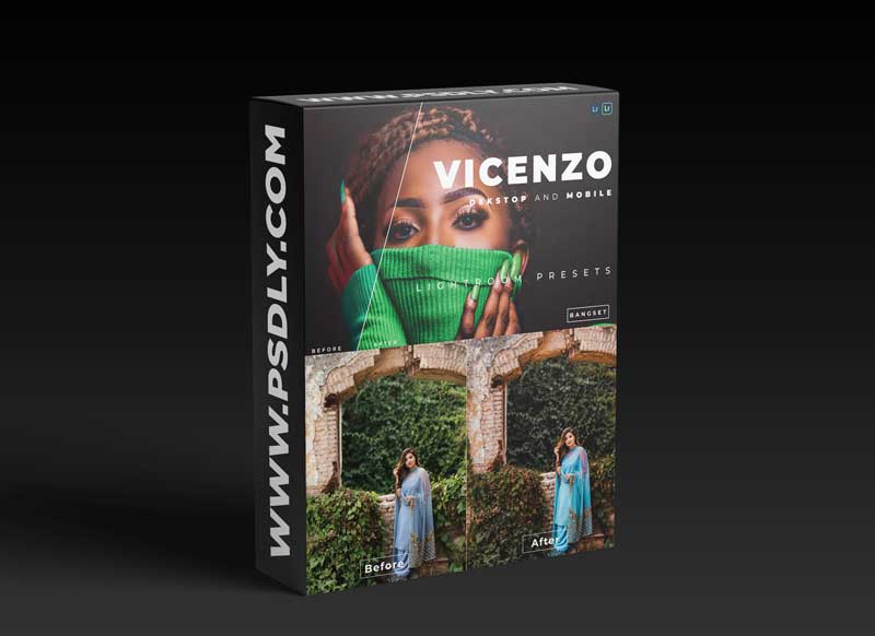 Vicenzo Desktop and Mobile Lightroom Preset