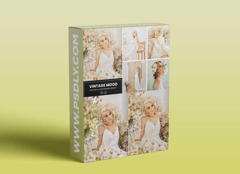Vintage Mood Photoshop Action & Lightrom Presets