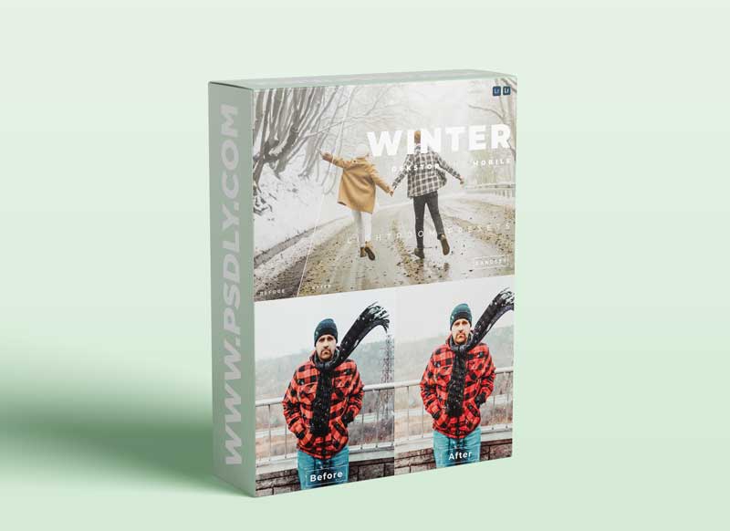 Winter Desktop and Mobile Lightroom Preset