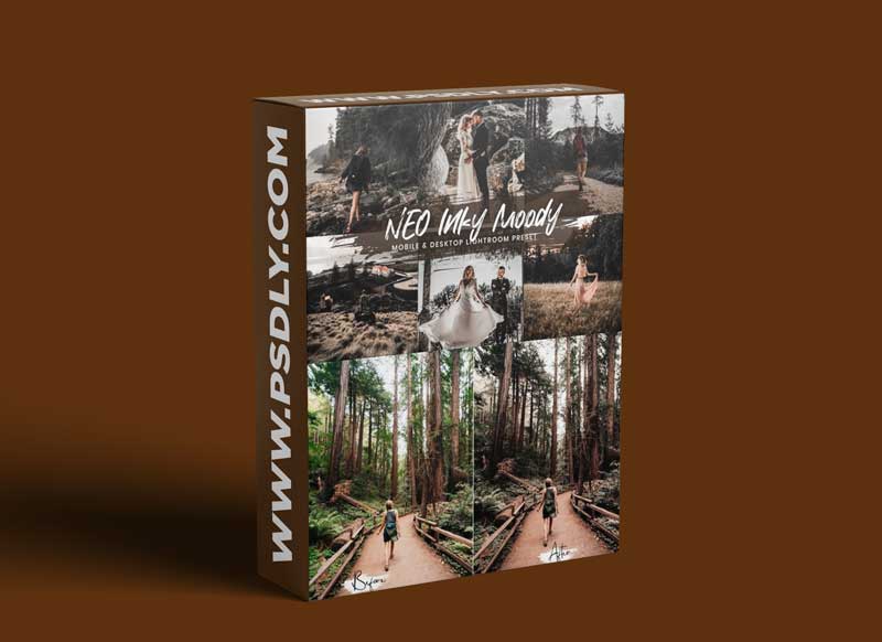 15 Lightroom Presets Neo Inky Moody 12579007
