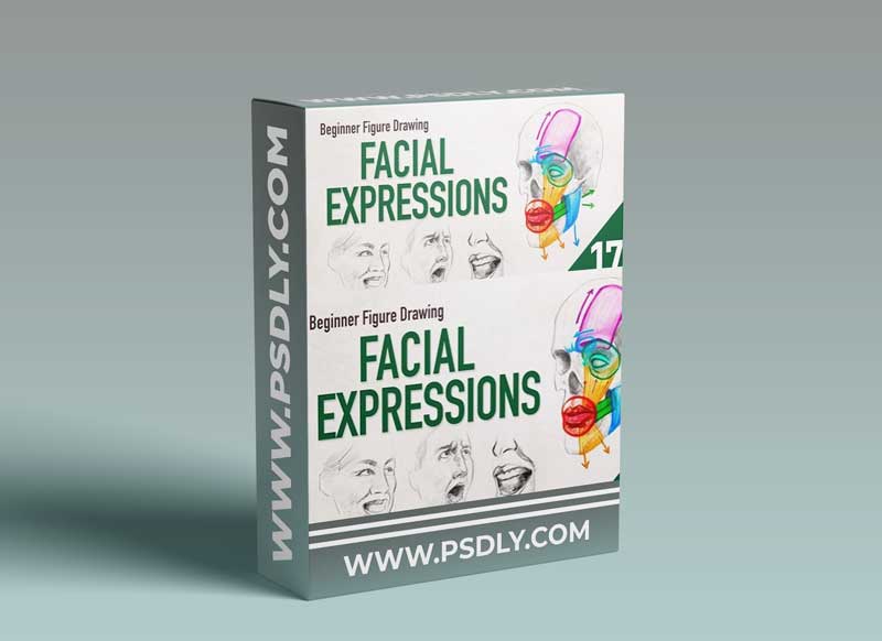 Beginner Figure Drawing - Facial Expressions