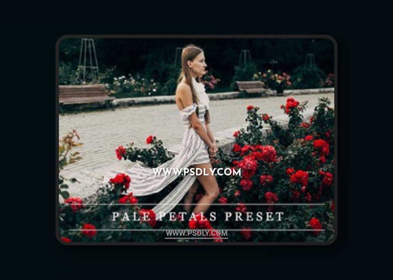 vCM - Pale petals - Lightroom preset 1237375