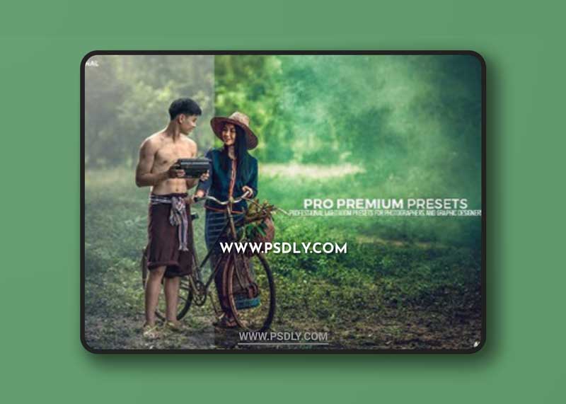 CM - Pro Lightroom Presets 1437583