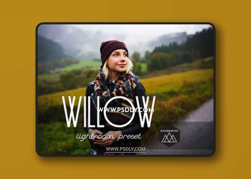 CM - Willow | LR Preset 1167157