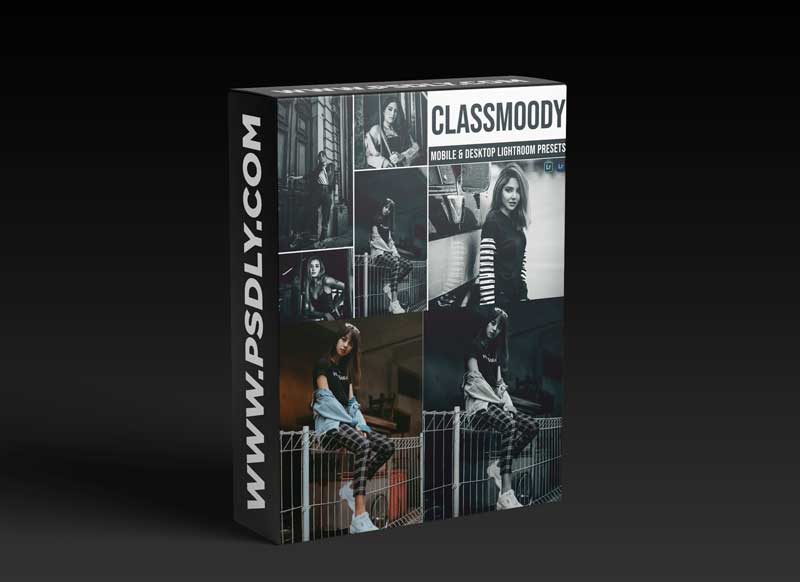 Classmoody Mobile and Desktop Lightroom Presets