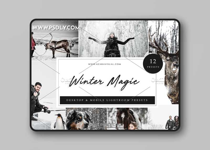 CreativeMarket - 12 x Lightroom Presets, Winter Magic 5962774