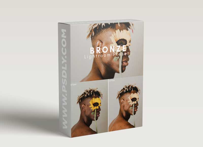 CreativeMarket - Bronze Lightroom Presets Bundle 6016467