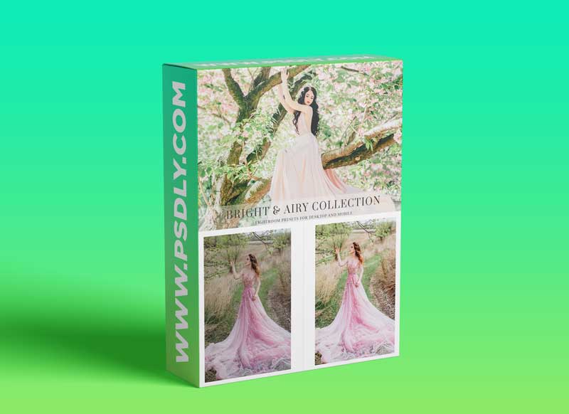 CreativeMarket - Light & Airy Lightroom presets 6144020