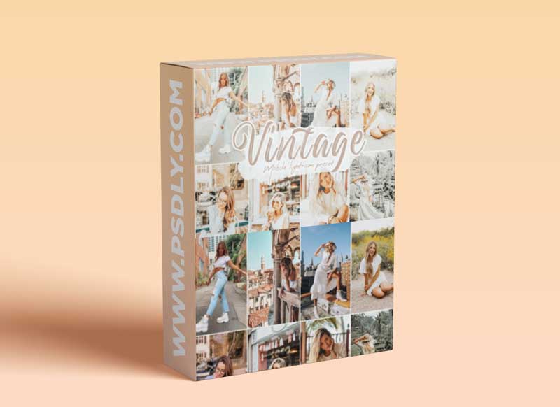 CreativeMarket - Vintage Lightroom Presets 5868171