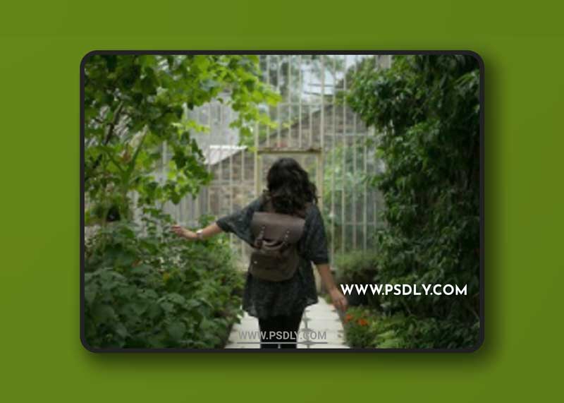 Digital Film Actions - The Gdansk Collection