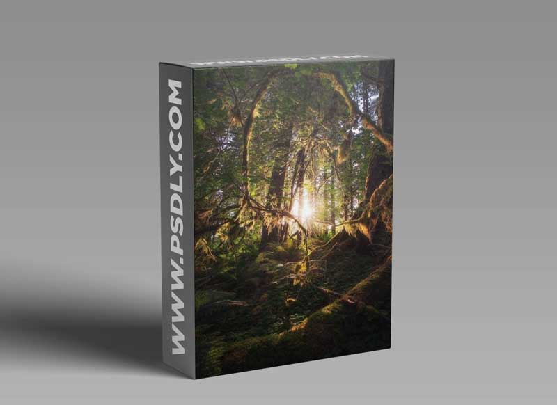 Eric Bennett - "Circle Of Life" From Start To Finish